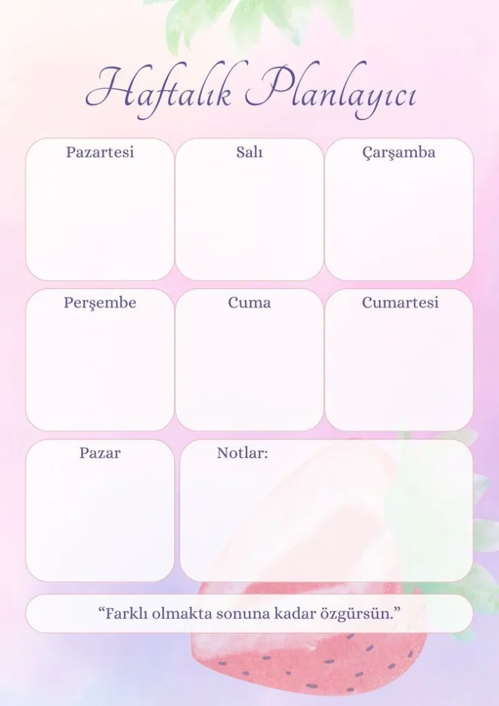 HAFTALIK PLANLAYICI 3